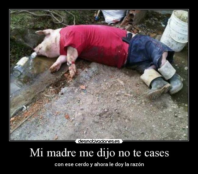 Mi madre me dijo no te cases -