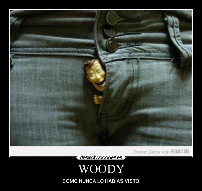 WOODY - COMO NUNCA LO HABIAS VISTO.