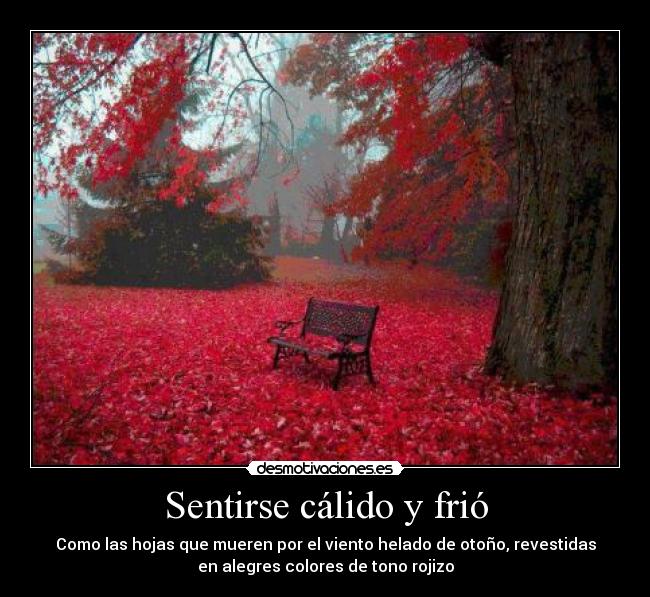 Sentirse cálido y frió - Como las hojas que mueren por el viento helado de otoño, revestidas
en alegres colores de tono rojizo