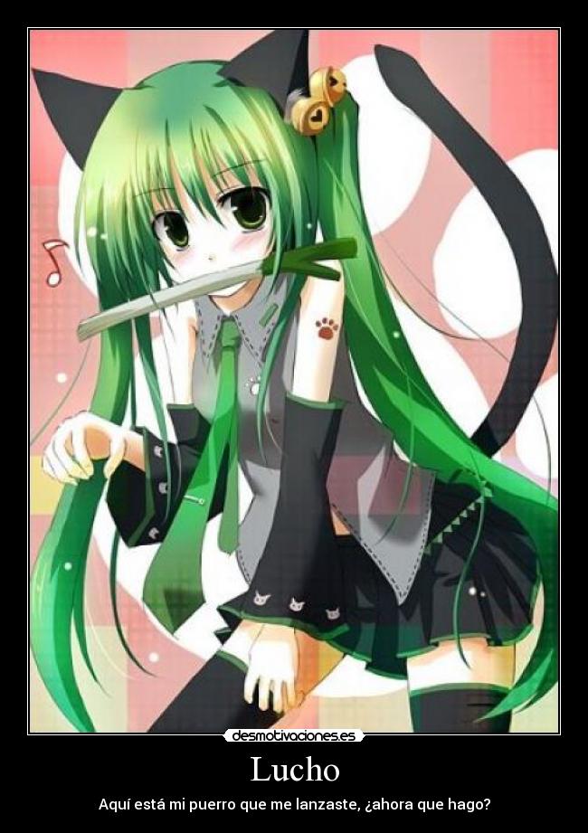 Lucho - Aquí está mi puerro que me lanzaste, ¿ahora que hago?