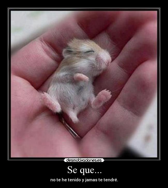 Se que... - no te he tenido y jamas te tendré.