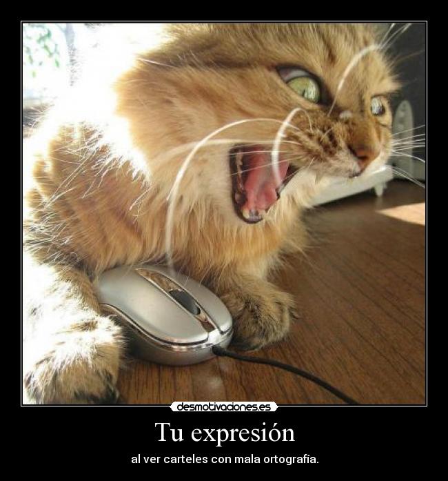 Tu expresión - al ver carteles con mala ortografía.