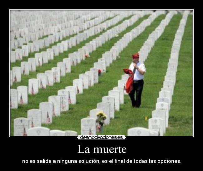 carteles muerte fraysuarez desmotivaciones