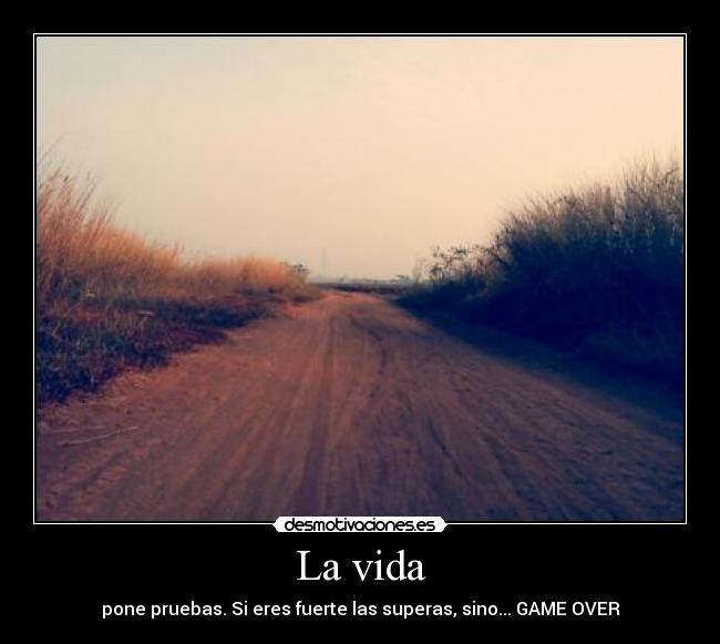 La vida - pone pruebas. Si eres fuerte las superas, sino... GAME OVER