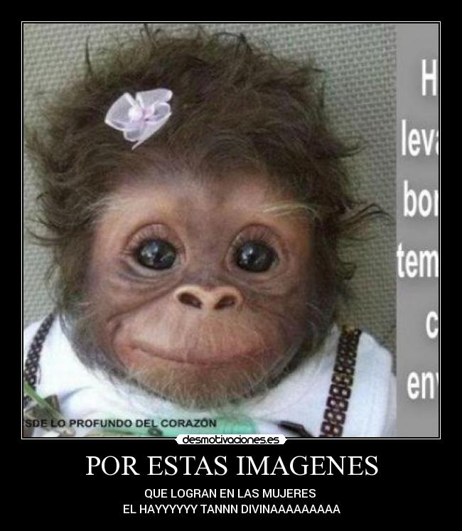 POR ESTAS IMAGENES - QUE LOGRAN EN LAS MUJERES 
EL HAYYYYYY TANNN DIVINAAAAAAAAA