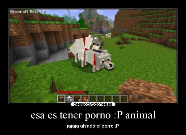 esa es tener porno :P animal - jajaja alsado el perro :P