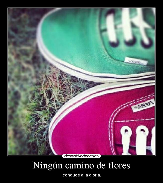 Ningún camino de flores - 