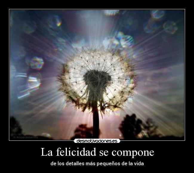 La felicidad se compone -