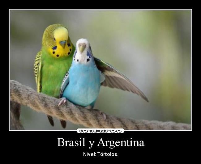 Brasil y Argentina - Nivel: Tórtolos.