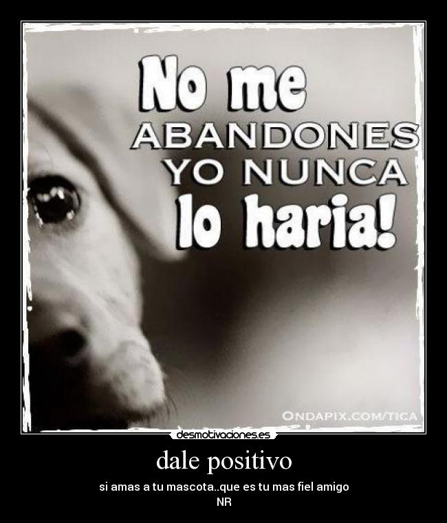 dale positivo -