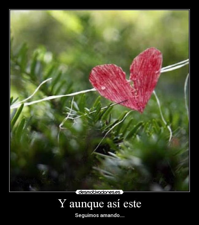 Y aunque así este - Seguimos amando....
