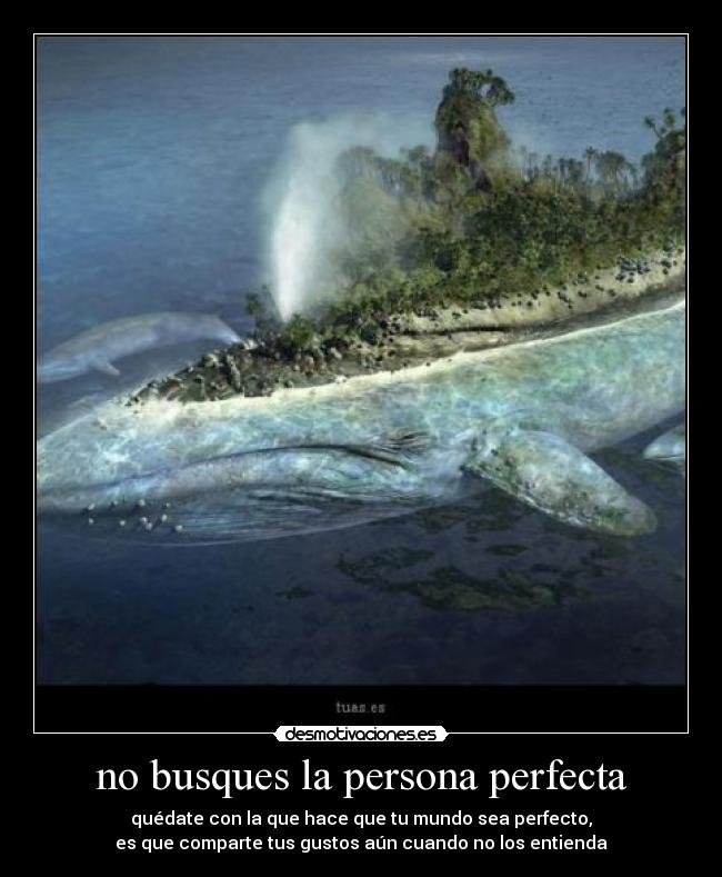 no busques la persona perfecta -