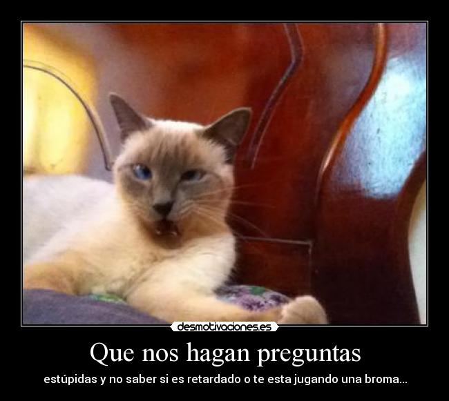 Que nos hagan preguntas - estúpidas y no saber si es retardado o te esta jugando una broma...