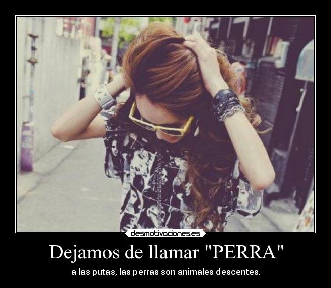 Dejamos de llamar PERRA -