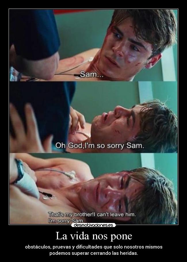 La vida nos pone - obstáculos, pruevas y dificultades que solo nosotros mismos
podemos superar cerrando las heridas.
