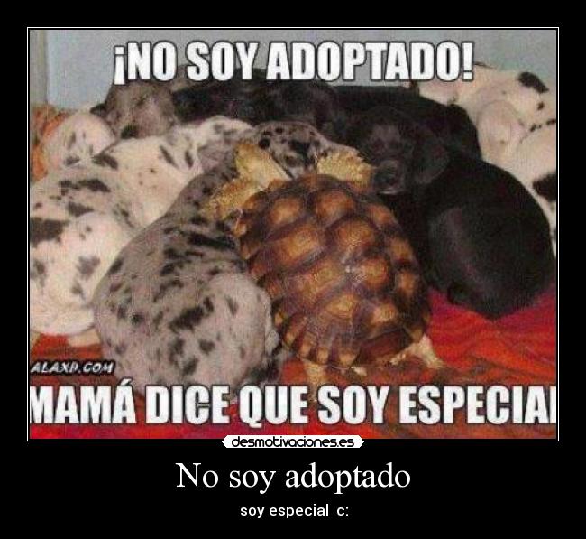 No soy adoptado - soy especial c: