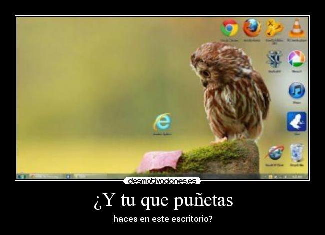 ¿Y tu que puñetas - 