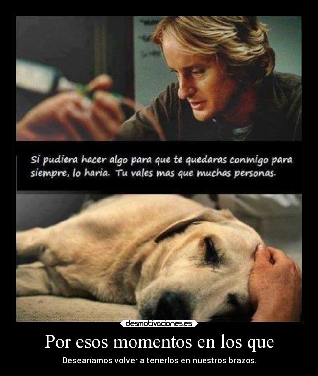 Por esos momentos en los que - 