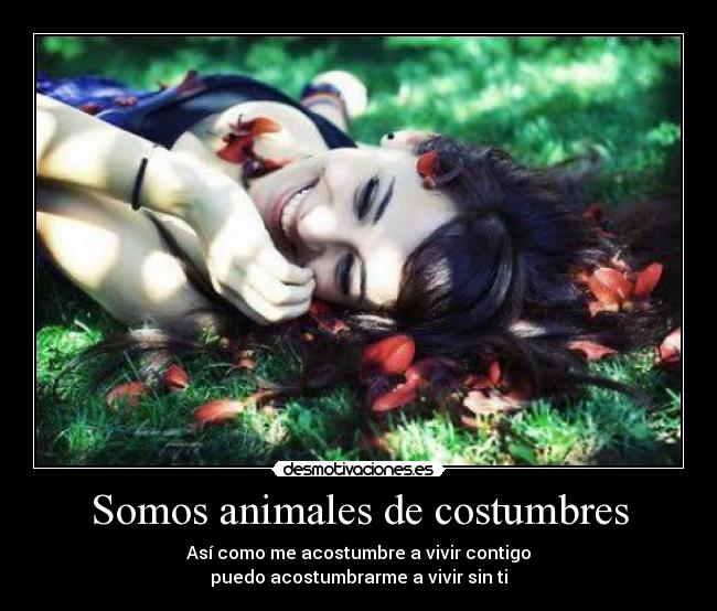 Somos animales de costumbres - Así como me acostumbre a vivir contigo
puedo acostumbrarme a vivir sin ti