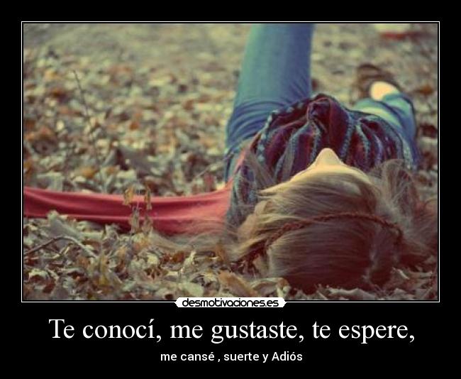 Te conocí, me gustaste, te espere, - me cansé , suerte y Adiós
