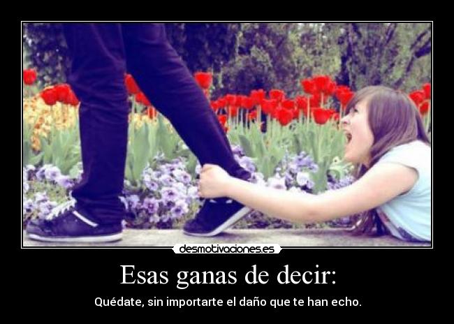 carteles quedate desmotivaciones