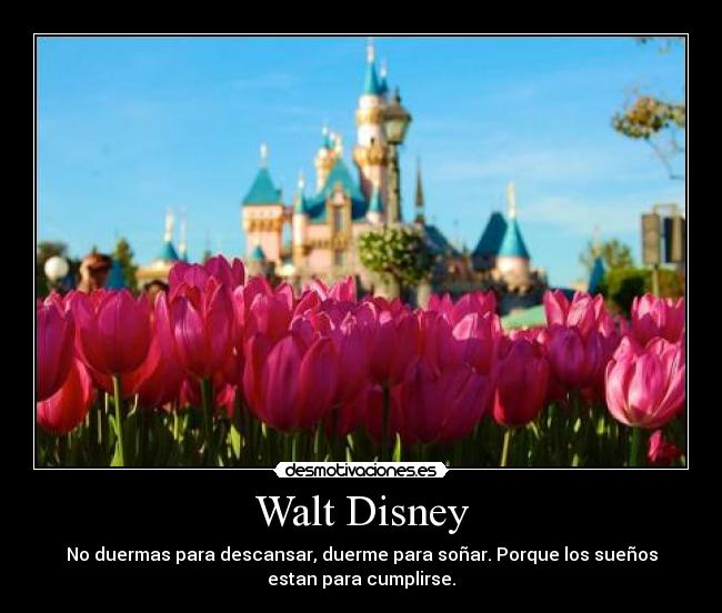 Walt Disney - 