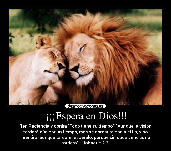 ¡¡¡Espera en Dios!!! - Ten Paciencia y confía Todo tiene su tiempo Aunque la visión
tardará aún por un tiempo, mas se apresura hacia el fin, y no
mentirá; aunque tardare, espéralo, porque sin duda vendrá, no
tardará. -Habacuc 2:3-