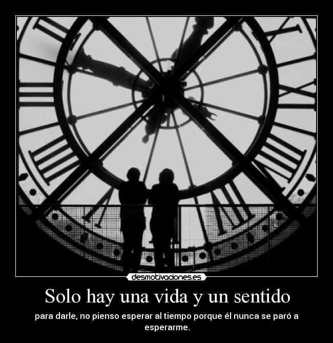 Solo hay una vida y un sentido -