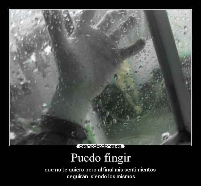 Puedo fingir -