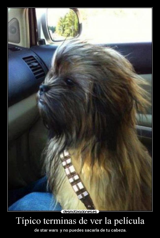 carteles pelicula desmotivaciones