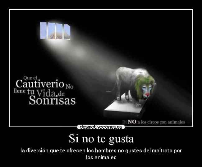 carteles diversion divercion divercion diversion maltrato circo animales leones cautiverio vida hombres desmotivaciones