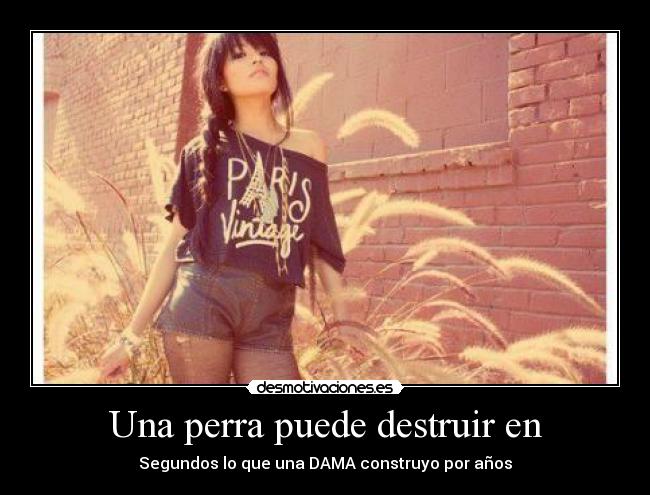 Una perra puede destruir en - Segundos lo que una DAMA construyo por años