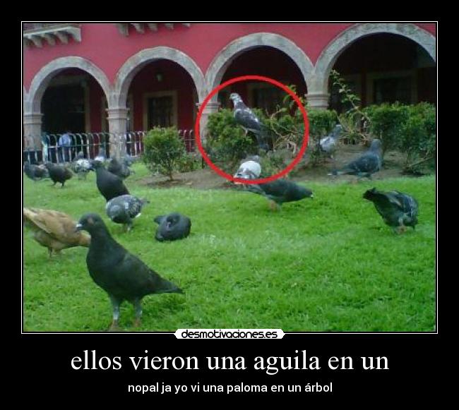 carteles aguilas nopales desmotivaciones