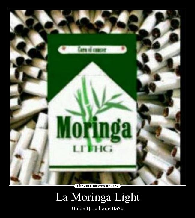 La Moringa Light - Unica Q no hace Da?o