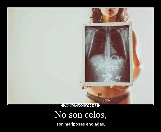 carteles celos son celos son mariposas monarcas xddd desmotivaciones