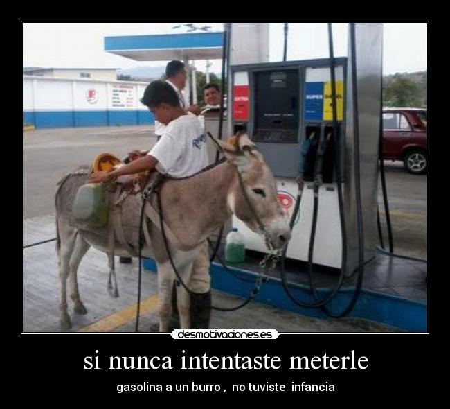 si nunca intentaste meterle -