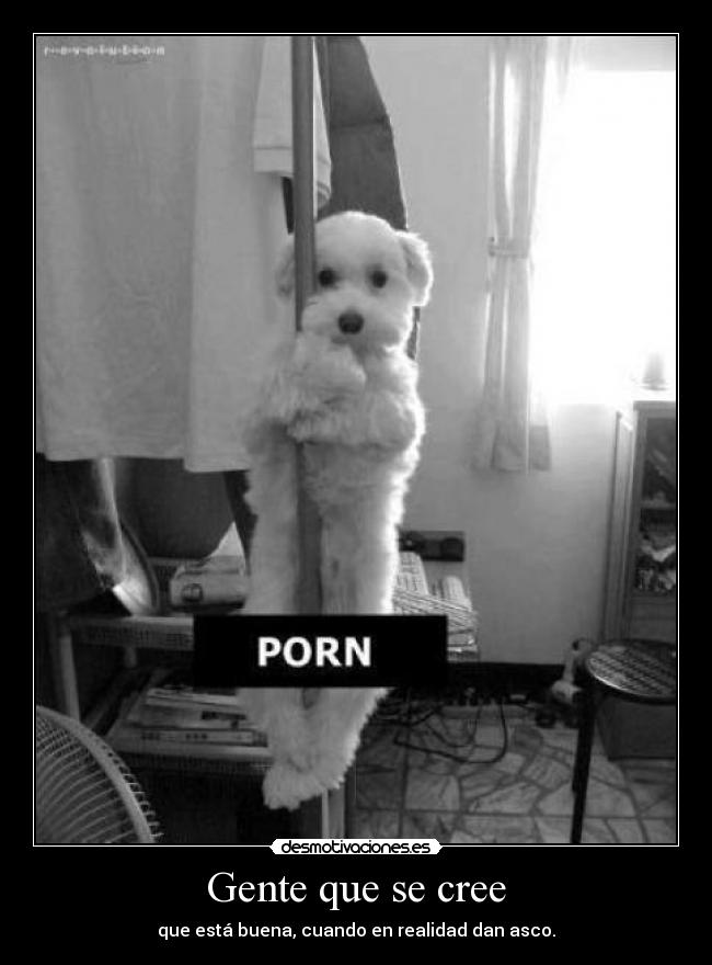 Gente que se cree - que está buena, cuando en realidad dan asco.