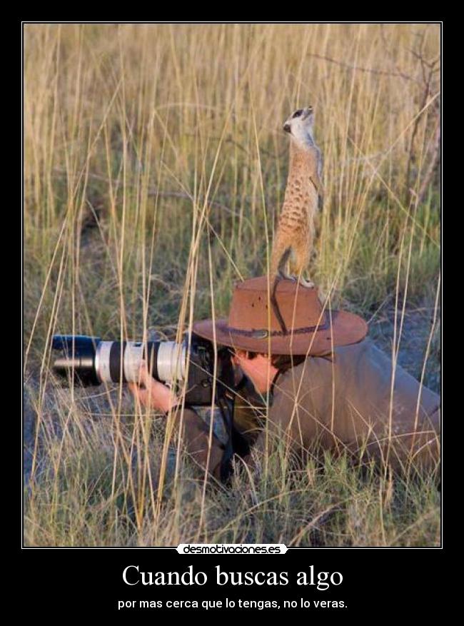 carteles kouxz addictive desmotivaciones