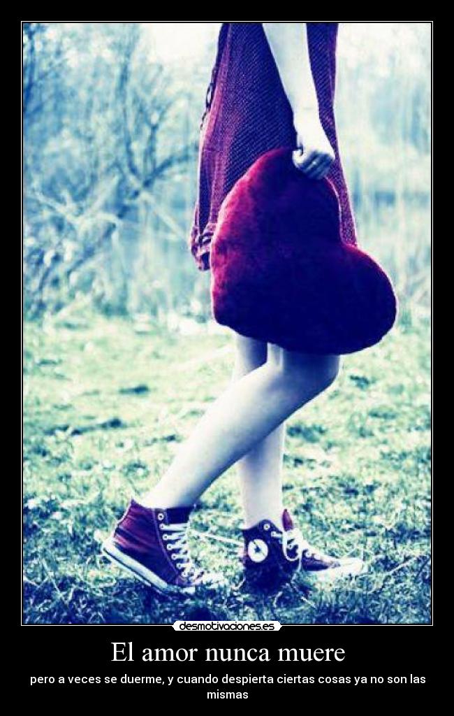 El amor nunca muere -