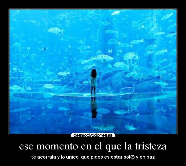 ese momento en el que la tristeza - te acorrala y lo unico que pides es estar sol@ y en paz