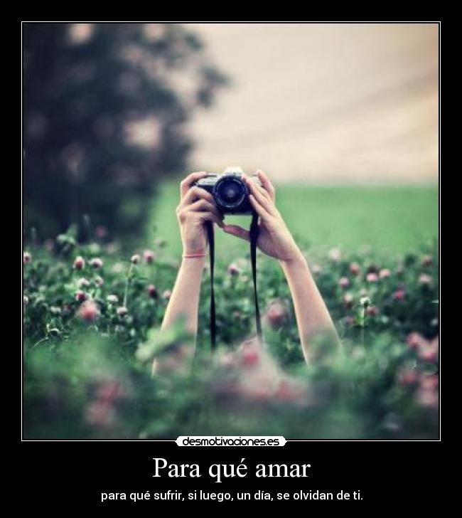 Para qué amar - para qué sufrir, si luego, un día, se olvidan de ti.