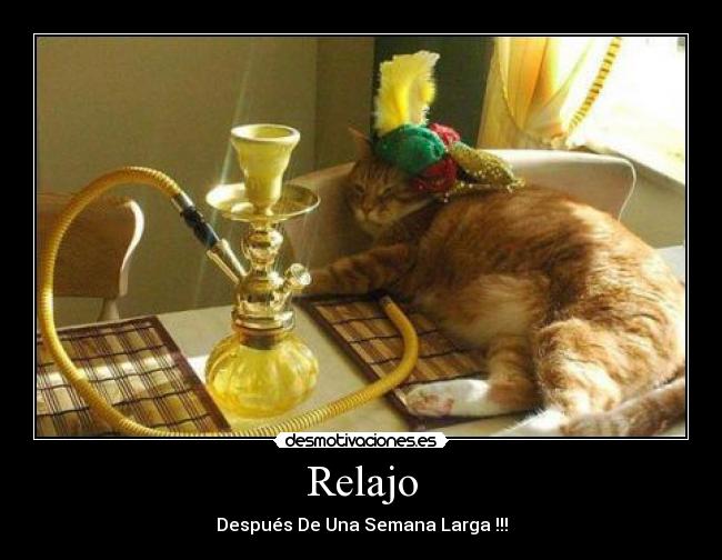 carteles relajo desmotivaciones