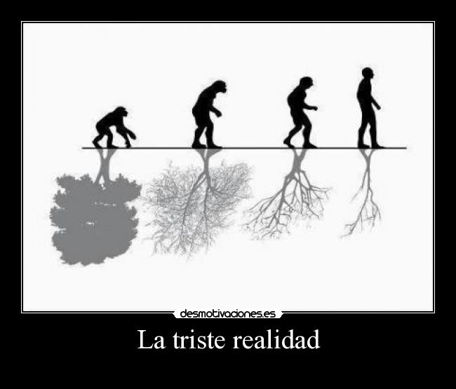La triste realidad - 