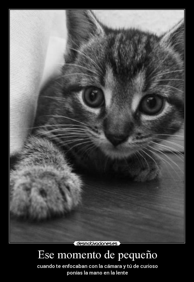 Ese momento de pequeño - cuando te enfocaban con la cámara y tú de curioso
ponías la mano en la lente