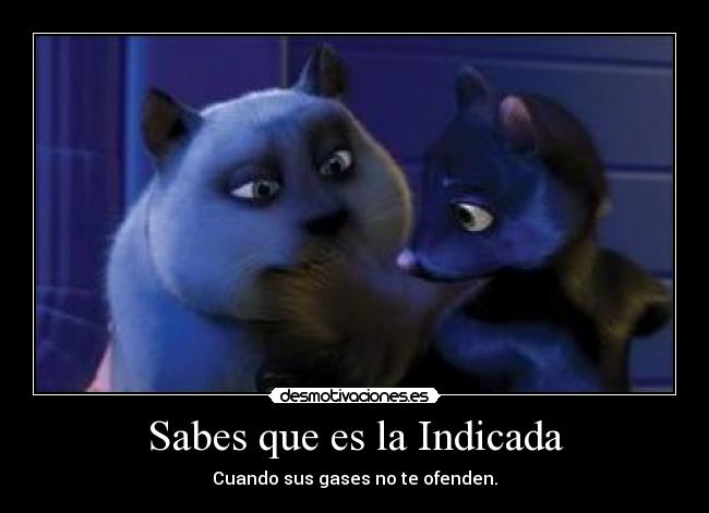 Sabes que es la Indicada - Cuando sus gases no te ofenden.