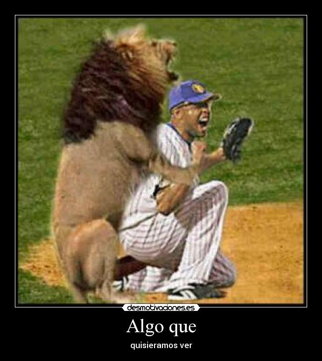 carteles nadie desmotivaciones