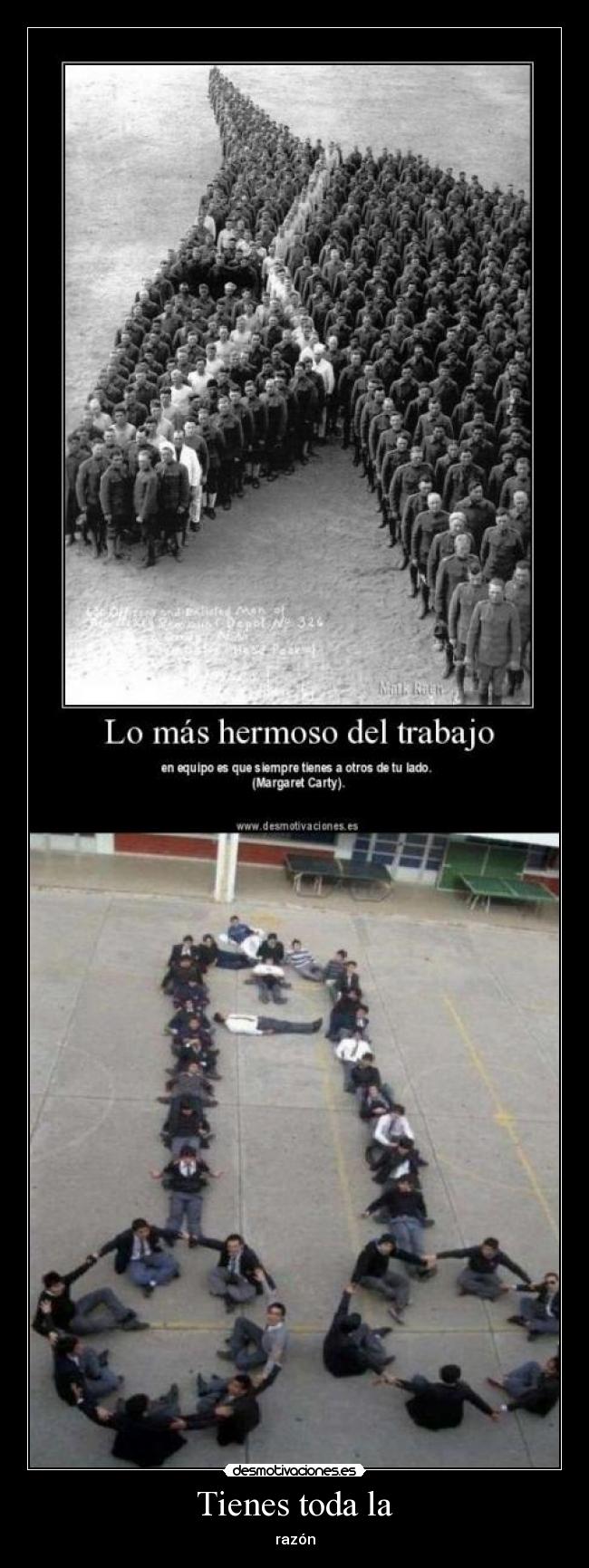 carteles nosferatu zood resubido porque tuvo comentarios desmotivaciones