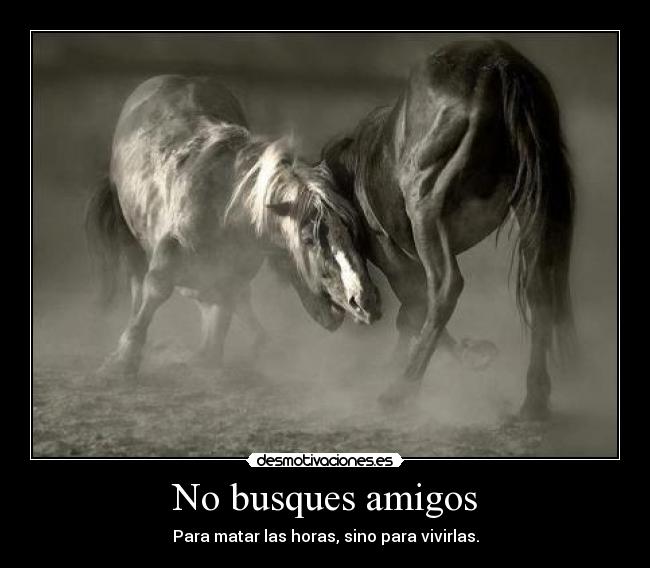 No busques amigos - Para matar las horas, sino para vivirlas.