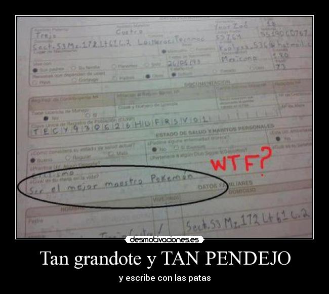 carteles pendejo que mamada idiota pokemon desmotivaciones