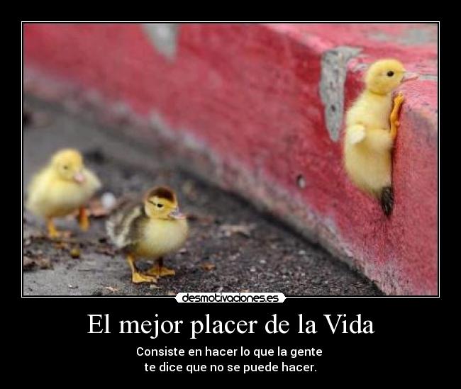 El mejor placer de la Vida - Consiste en hacer lo que la gente 
te dice que no se puede hacer.